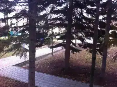 Весна - 31