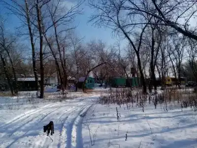 Лес и Рыба - 3