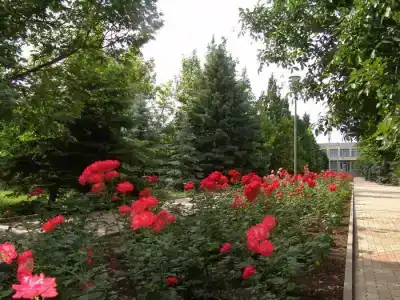 Пансионат Дорожник - 67