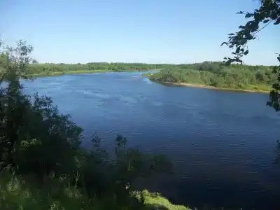 у Папы Карло - 2