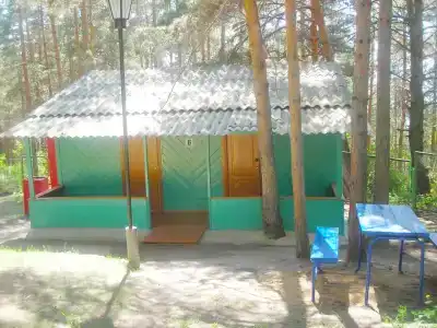 Голубые огни - 29