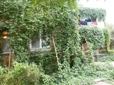 Киммерик - 27