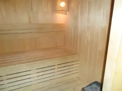Сауна - 1