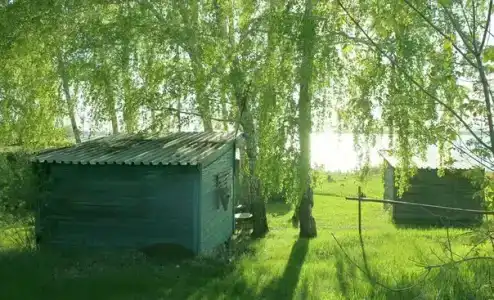 Родничок - 2