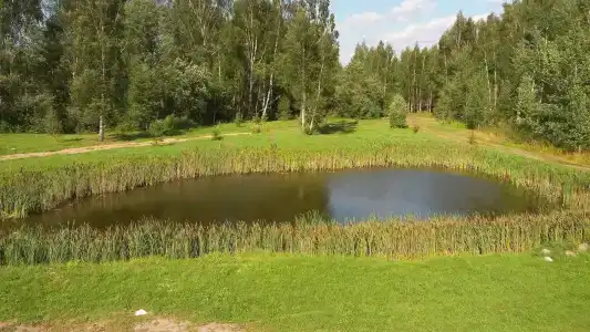 Мышгород - 5