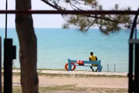 Дом друзей - 45