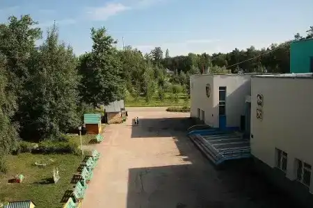 Мечта - 11