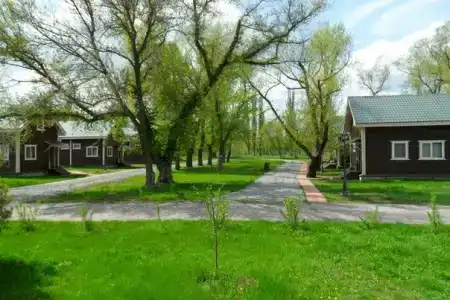 Рыба Зверь - 2