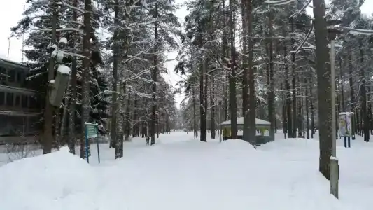 Маяк - 2