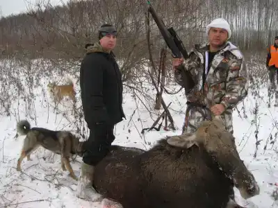 Кабанчики - 18