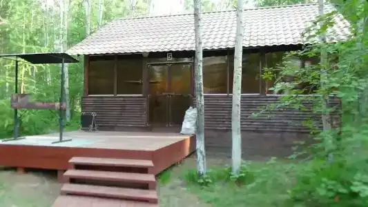 Сосновая - 12