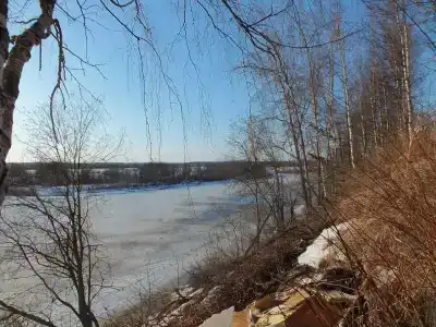 у Папы Карло - 11