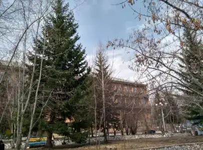 Три Медведя - 24
