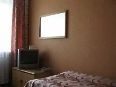 Багира - 11