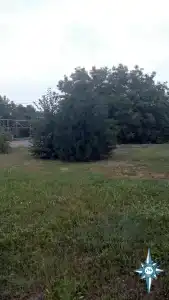 Портофлот - 22