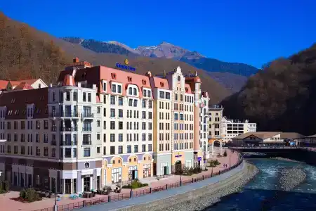 Голден Тюлип - 22