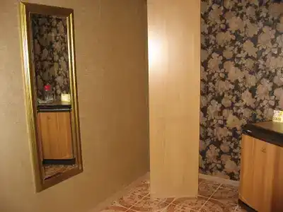 Алиса - 28