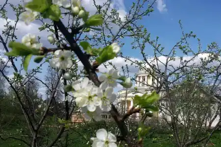 у Михалыча - 5