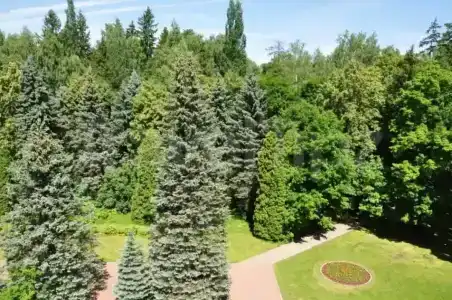 Голицыно - 24