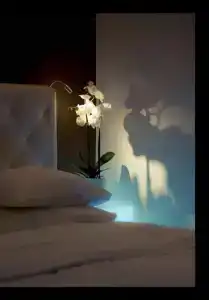 Lh & Spa - 11