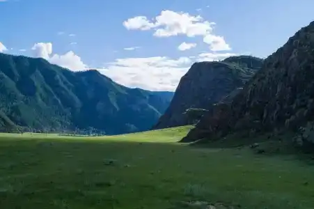 Луга Алтая - 5