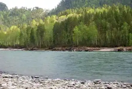 Усадьба толстяка МО - 5