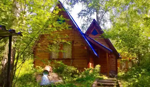 Русич - 1