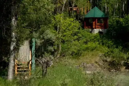 Хутор Кедровый на Зеленом острове - 10