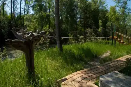 Хутор Кедровый на Зеленом острове - 13