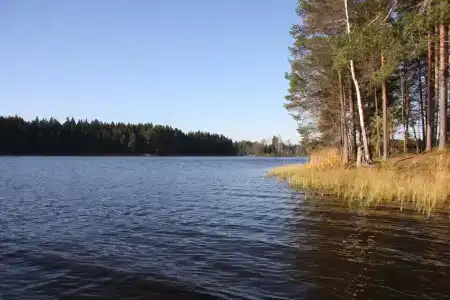 Свирская Слобода - 15