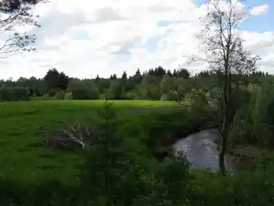 Медвежий угол - 9