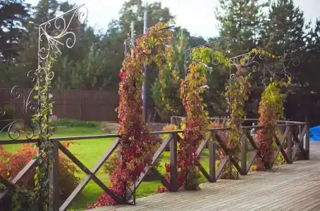 Villa Vitele - 19