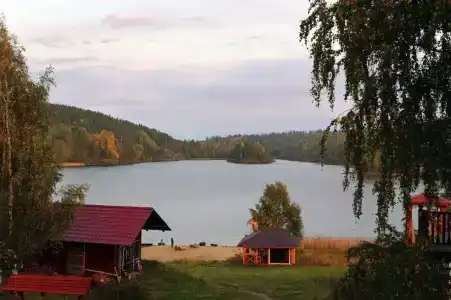 Микли-Ольгино - 16