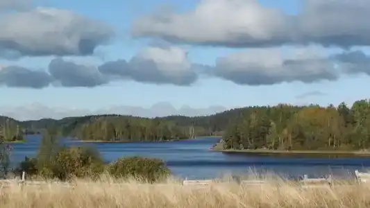 Микли-Ольгино - 27