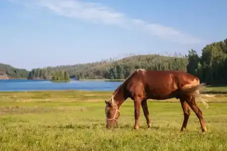 Микли-Ольгино - 28