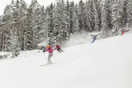 Ялгора - 25