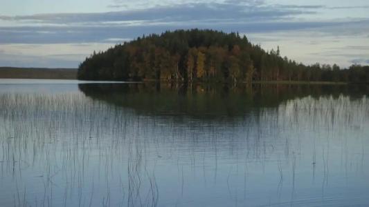 Урочище Коркиниеми - 12