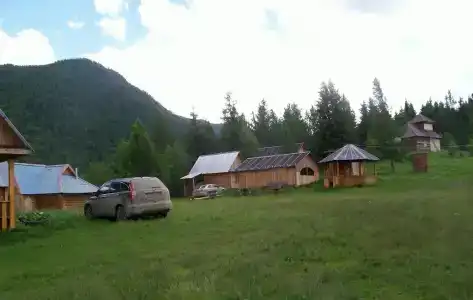 Кедровая опушка - 5