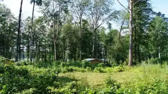 Вуокса-вирта - 15