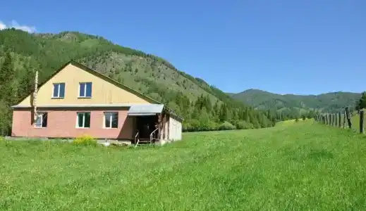 Маральник Айхал - 0