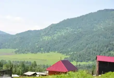 Маральник Айхал - 5