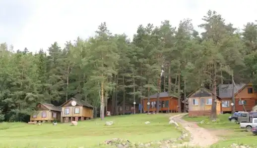 Гнездо - 0