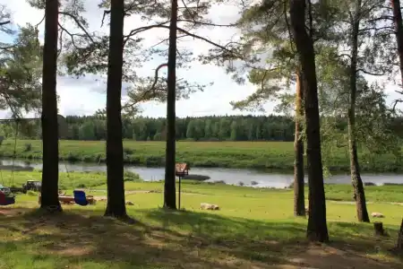 Гнездо - 11