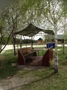 Сосновка - 8