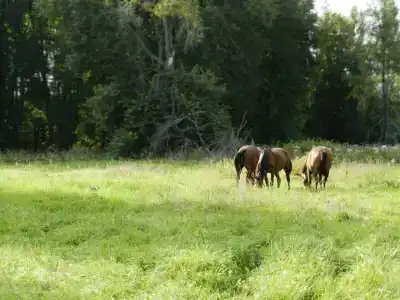 Махерово - 7