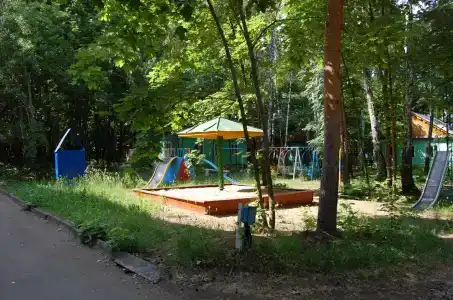 Берёзка - 1