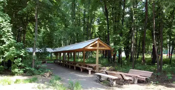 Берёзка - 3