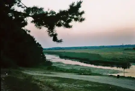 Разгуляй - 6