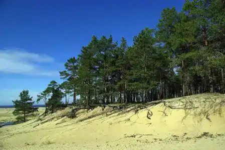 Летняя Золотица - 9