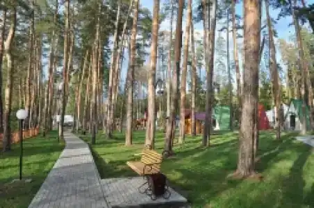Галдым - 23